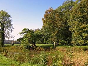 Chilterns Prints: View of pond and war memorial, Penn Wood