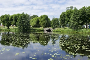 Pond Prints: View of pond with waterlily leaves and stone bridge, Forsmarks Bruk, Uppland, Sweden, july