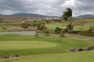 Game Prints: View of practice green on golf course