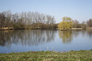 Gravel Prints: View of private fishing lake in flooded former gravel pit habitat