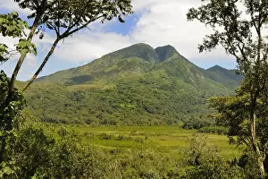 Rain Forests Prints: View of quiescent volcano emerging from swamp and bamboo forest habitat