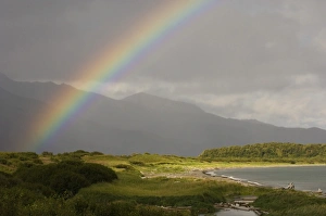 View of rainbow over coastal habitat, Hallo Bay, Katmai N. P. Alaska, U. S. A. august
