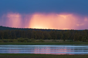 Northern Europe Prints: View of rainclouds over forest and lake habitat at sunset