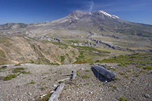 Composite Prints: View of regenerating vegetation and volcano in distance