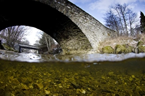 View of river and bridge from above and below surface of water, River Livet, Glenlivet, Cairngorms N. P