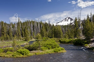 Oregon Prints: View of river entering lake, Green Lake Trail
