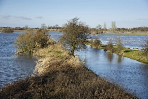 Floods Prints: View of river flooding farmland