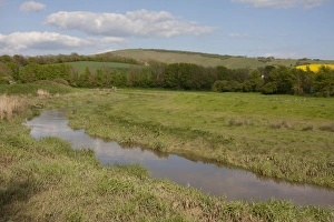 Sussex Prints: View of river flowing through river valley habitat