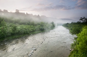 View of river and forest at sunrise, River San, Bieszczady N. P. Bieszczady Mountains, Outer Eastern Carpathians