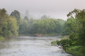 View of river and forest at sunrise, River San, Bieszczady N. P. Bieszczady Mountains, Outer Eastern Carpathians