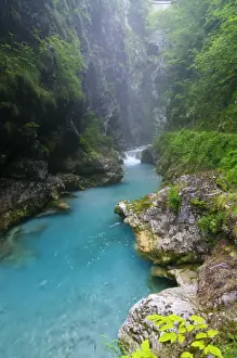 Levels Prints: View of river gorge habitat with pristine water and high humidity levels
