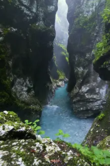 View of river gorge habitat with pristine water and high humidity levels, Tolminka River Gorge, Tolminka River