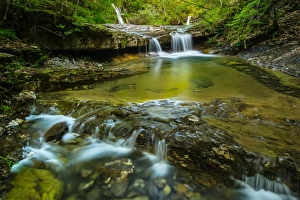 Pool Prints: View of river habitat in forest