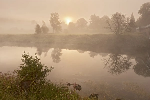 Gloucestershire Prints: View of river in mist at dawn, Brockweir
