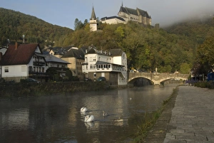 Castles Prints: View of river with Mute Swans (Cygnus olor)