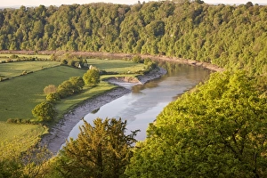 Landscape Prints: View of river with riverbank erosion at dawn