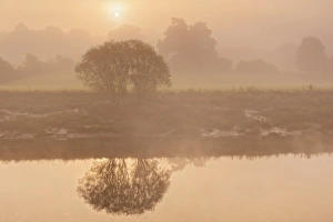 River Bank Prints: View of river and riverbank in mist at dawn