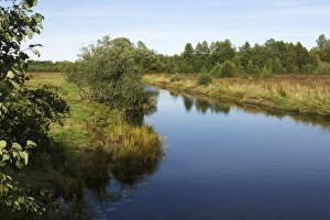 Bank Prints: View of river and riverside habitat