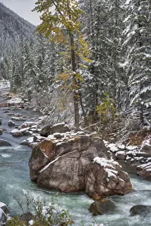 Western Prints: View of river, rocks and forest in snow, Gallatin River Canyon, Montana, U. S. A. October
