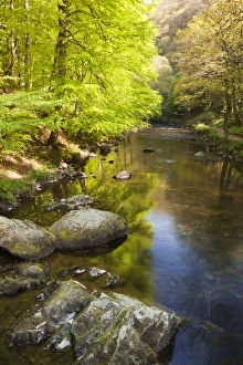 Exmoor Prints: View along river on sunny spring morning