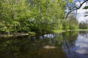Bank Prints: View of river and trees on riverbank, Tamnar River, Vastland, Uppland, Sweden, may