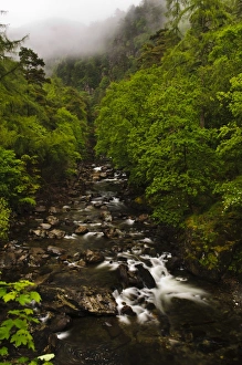 Mists Prints: View along river valley with mist shrouding hillsides above