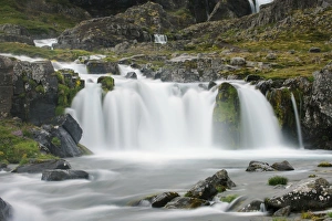Westfjords Prints: View of river and waterfall, Dynjandi, Dynjandi River, Westfjords, Iceland, July