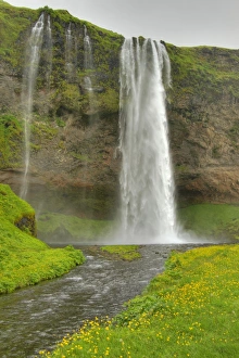 Cliff Prints: View of river and waterfall, Seljalandsfoss Waterfall, Seljalandsa River, Iceland, June