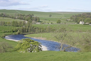 Wharfedale Prints: View of River Wharfe snaking through valley bottom