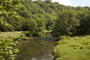 Slopes Prints: View of river and wooded slope habitat
