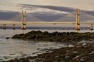 View of road bridge over river at sunrise, viewed from Black Rock near Portskewett, Second Severn Crossing