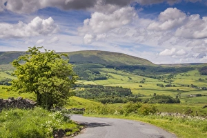 View of road and countryside, Hodder Valley, Hall Hill, Forest of Bowland, Lancashire, England, June