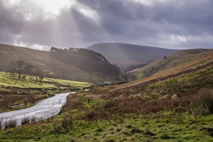 View of road in moorland habitat, looking towards Sykes, Trough of Bowland, Forest of Bowland, Lancashire, England