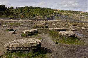 Intertidal Prints: View of rock ledges exposed on beach at low tide