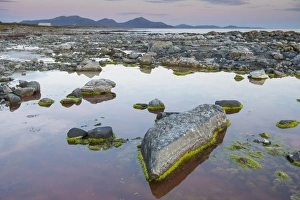 Pool Prints: View of rockpools on beach at low tide