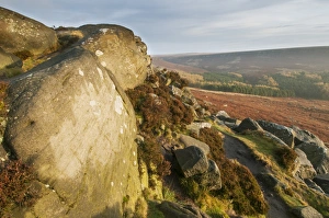 View of rocks and moorland habitat at sunrise, looking from Higger Tor towards Cowper Stone, Peak District N. P