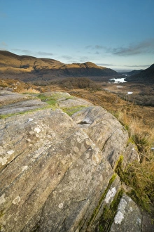 View over rocks on moorland towards lake and mountains at dawn, Ladies View, Lough Leane (Lower Lake)