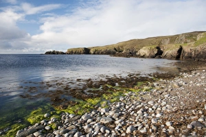 Shetland Prints: View of rocky beach and cliffs, Funzie Bay, Fetlar, Shetland Islands, Scotland, June