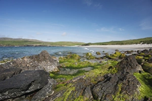 Shetland Prints: View of rocky beach, Lunda Wick Bay, Unst, Shetland Islands, Scotland, June