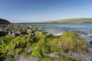 View of rocky beach, Lunda Wick Bay, Unst, Shetland Islands, Scotland, June