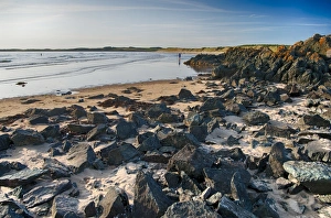 Sea Shores Prints: View of rocky beach, Newborough, Anglesey, Wales, August