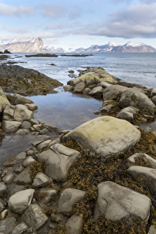 View of rocky fjord coastline with distant mountains, Hornsund, Spitsbergen, Svalbard, August