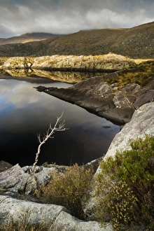 View of rocky lake shore, Upper Lake, Lakes of Killarney, Killarney N. P. County Kerry, Munster, Ireland, November