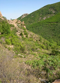 Slopes Prints: View over rocky scrub habitat on mountainside, Zushan Forest Park, Qinhuangdao, China, may