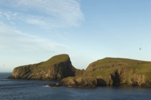 Rugged Prints: View of rugged coastline with cliffs and seabirds in flight at dawn
