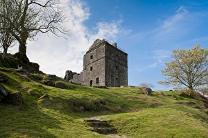 Ruined Prints: View of ruined 16th century towerhouse
