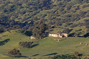 Dehesa Prints: View of ruined building in dehesa habitat