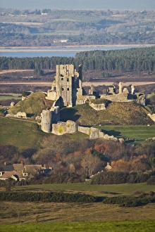 Castles Prints: View of ruined castle in winter sunshine, Corfe Castle, Corfe, Dorset, England, january
