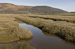View of saltmarsh habitat developing as shingle ridge has been breached, managed retreat from rising sea levels