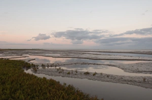 Wash Prints: View of saltmarsh and tidal mudflats habitat at sunrise